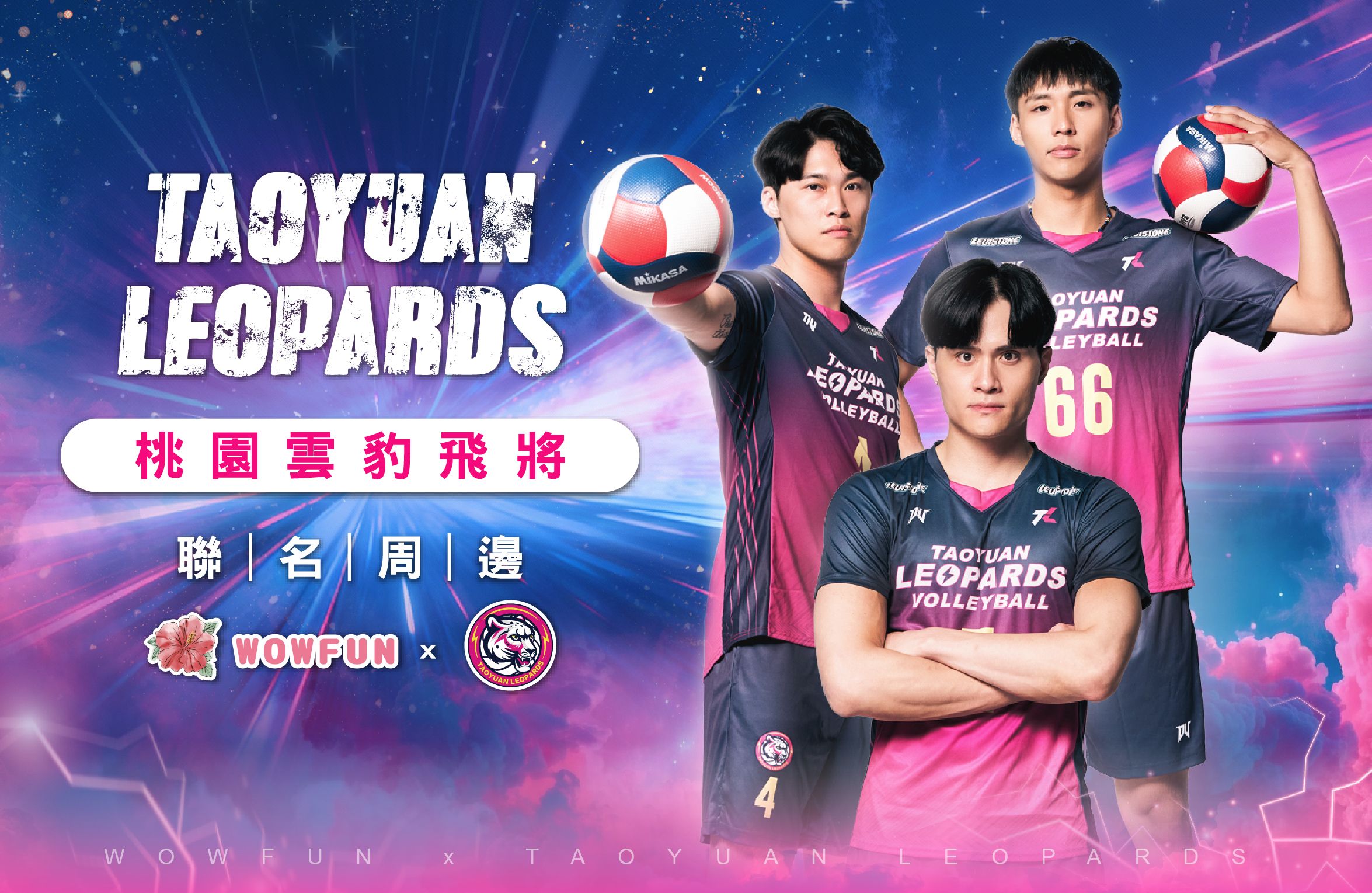 雲豹飛將排球隊